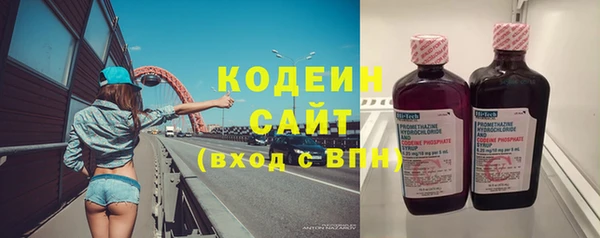 мдпв Краснослободск