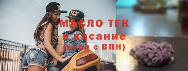индика Корсаков