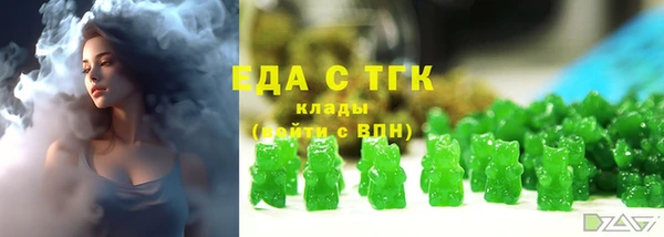 мдпв Краснослободск