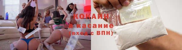 мдпв Краснослободск