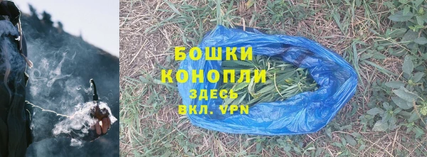 мдпв Краснослободск