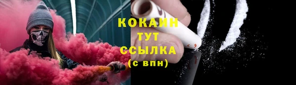 мдпв Краснослободск
