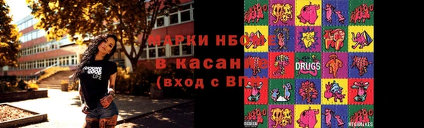 мдпв Краснослободск