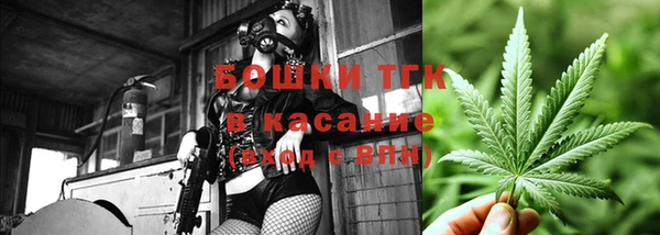 мдпв Краснослободск