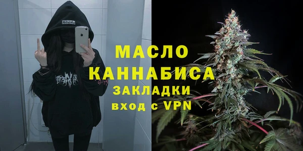 мдпв Краснослободск