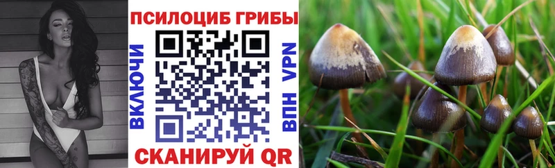 хочу   Хадыженск  Галлюциногенные грибы мухоморы 